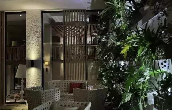 乌镇西栅里最美的民宿,乌镇西栅里的民宿