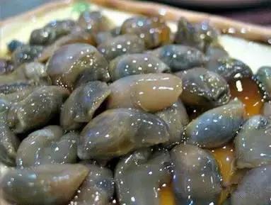 羊口开海！倒计时一天！第一网吃起来！看完哈喇子流一地