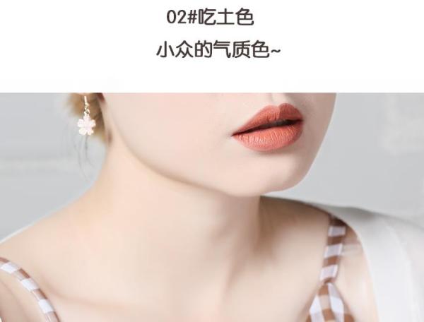 不沾杯平价口红推荐,平价美妆日记