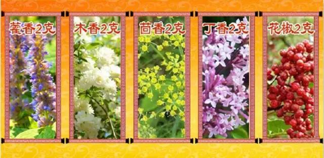 肚脐眼隐藏的秘密,肚脐眼的泥为什么不能抠