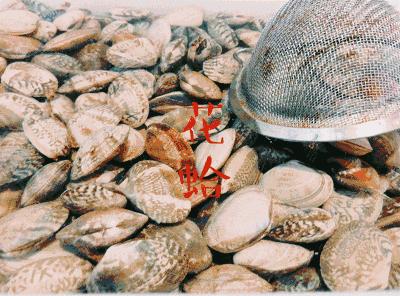 休渔期适合去沿海城市旅游吗,休渔期海岛吃什么