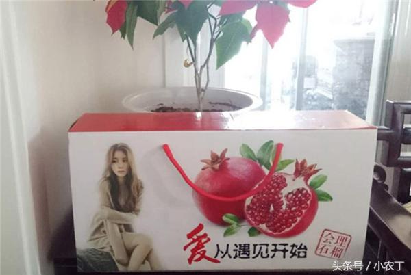 正宗突尼斯软籽石榴10斤新鲜当季,送礼必备佳品突尼斯软籽石榴