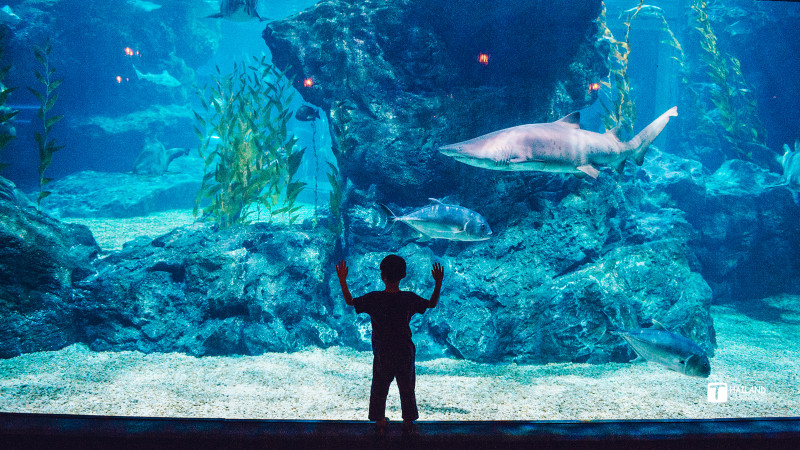 带你一起去泰国看海,回忆那年在泰国踏浪看海