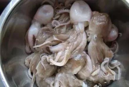 羊口开海！倒计时一天！第一网吃起来！看完哈喇子流一地