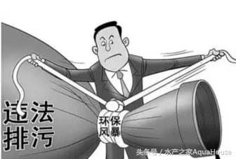 全国水产市场每日最新报价,水产每日报价