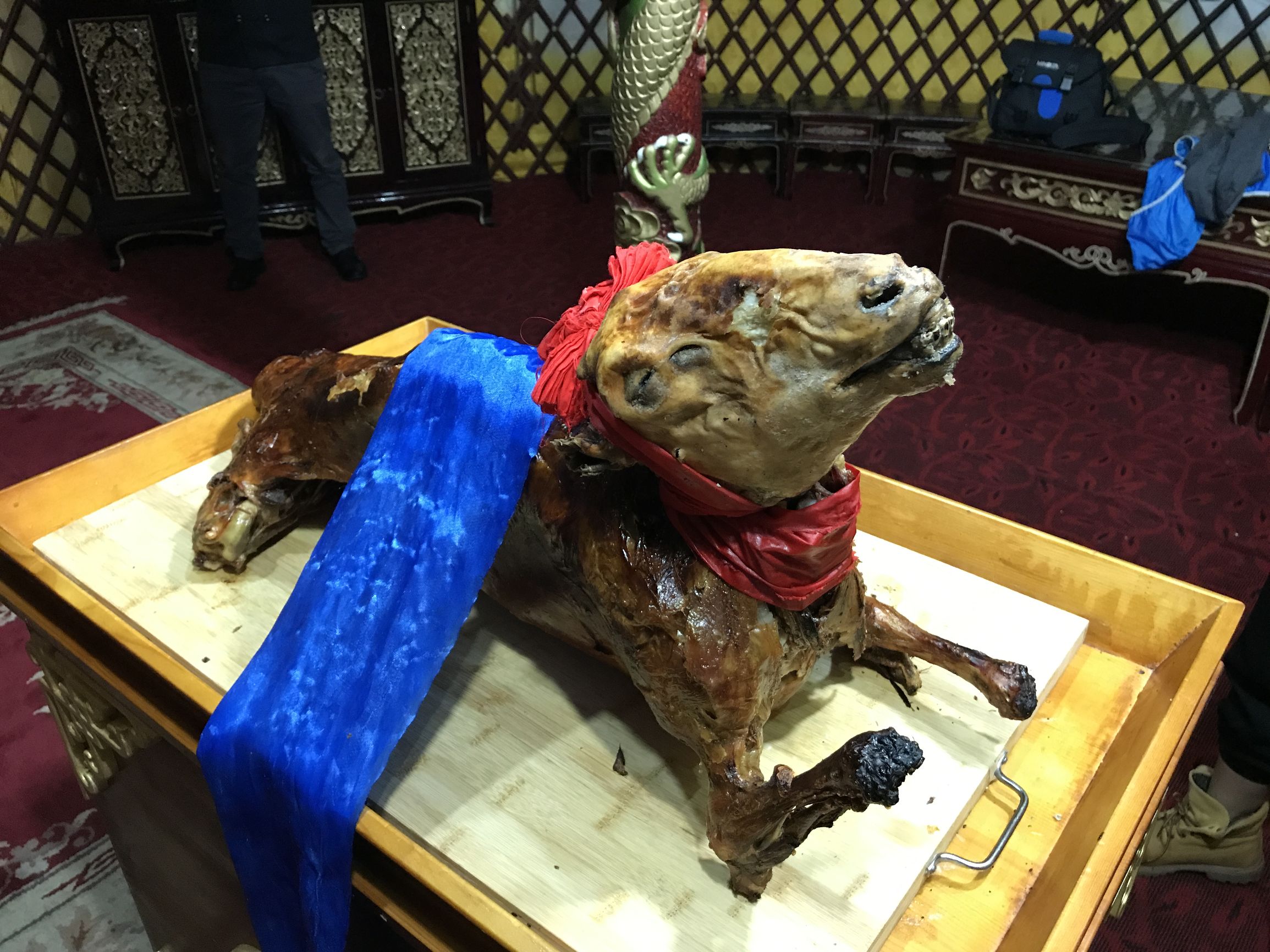 去内蒙，有多少人因为不懂这些文化而闹出了笑话