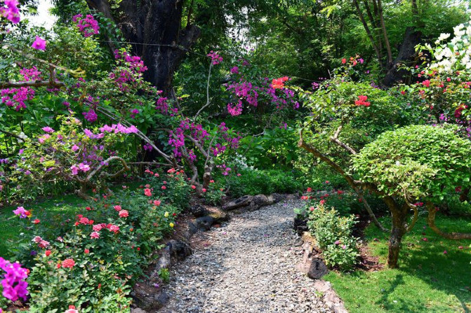 去西双版纳旅游吃住行攻略,去西双版纳旅行自由行攻略