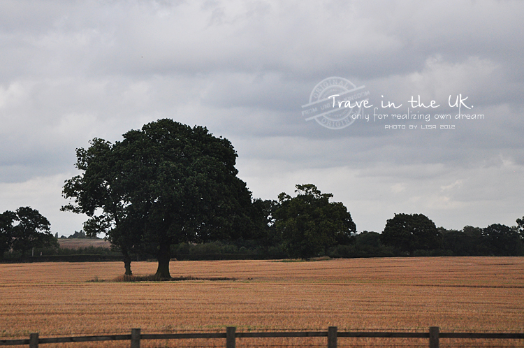 曼彻斯特老特拉福德球场英文,曼彻斯特老特拉福德球场航拍