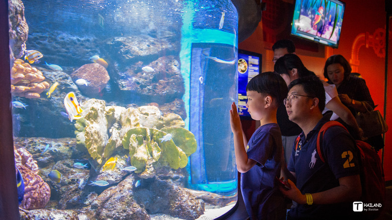 带你一起去泰国看海,回忆那年在泰国踏浪看海