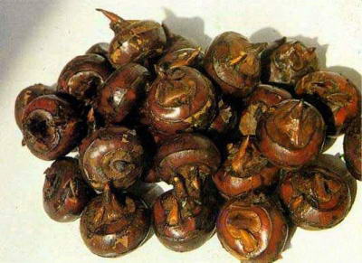 中国特有的蔬菜,中国特有蔬菜水果