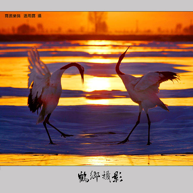 闲云野鹤曲子赏析,古曲闲云野鹤