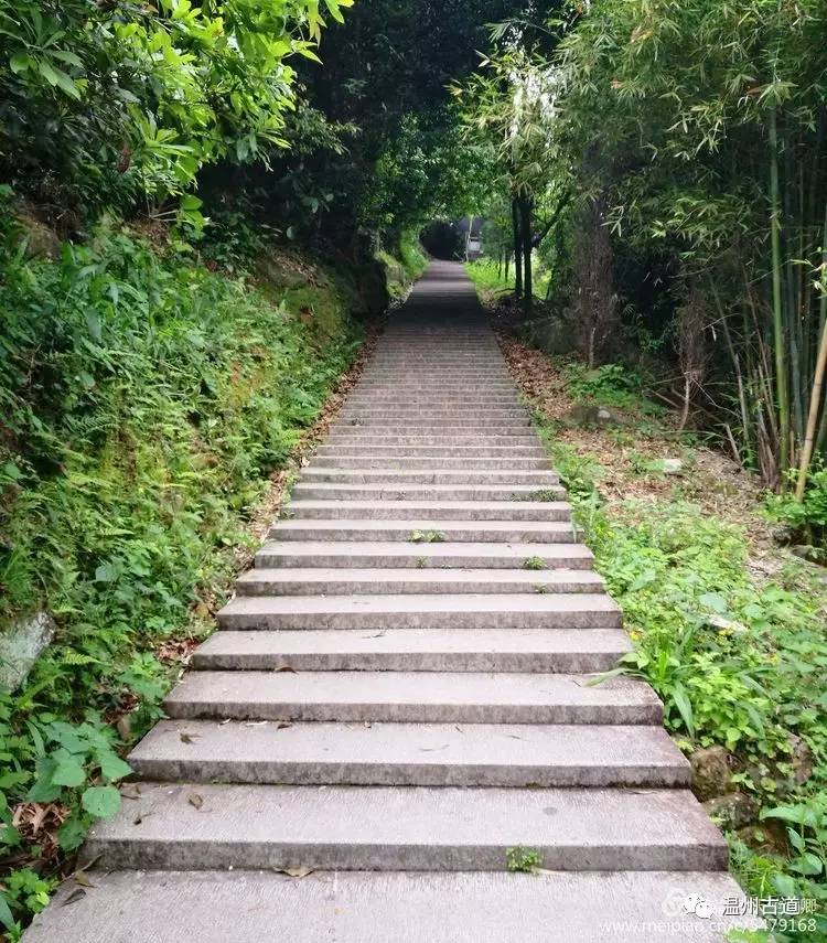 乐清白石凤凰山在哪,乐清白石山上好玩的地方