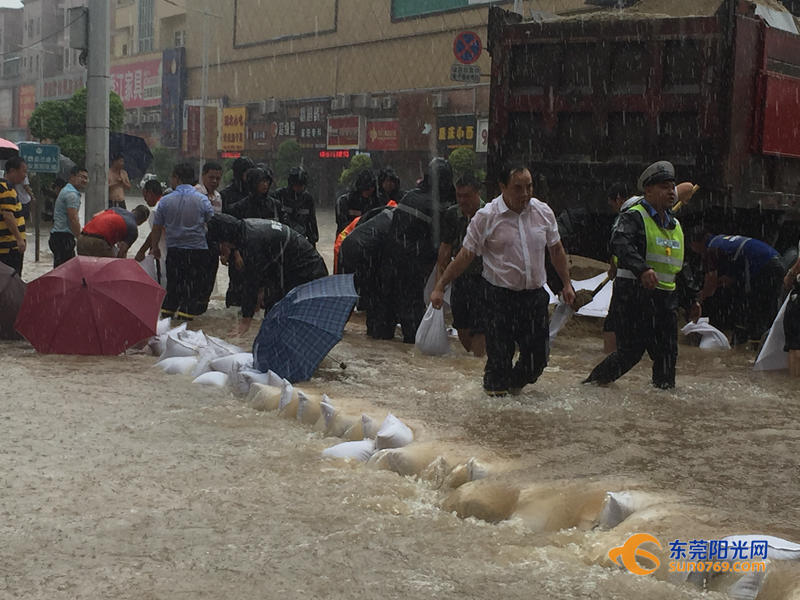 东莞海滩必备泳衣,东莞海边最新消息