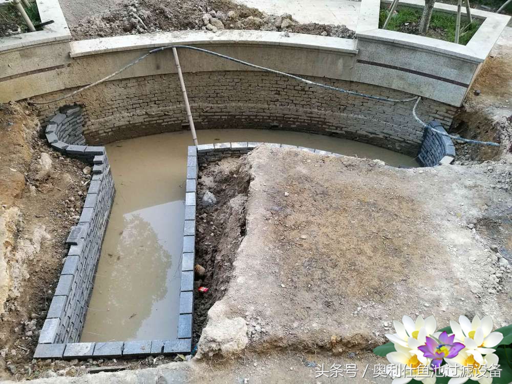 10吨小鱼池的完美养成记