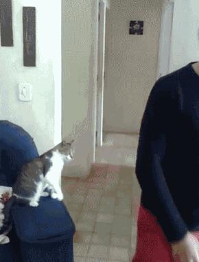 每日逗你一乐：今天我终于见到秋名山车神了