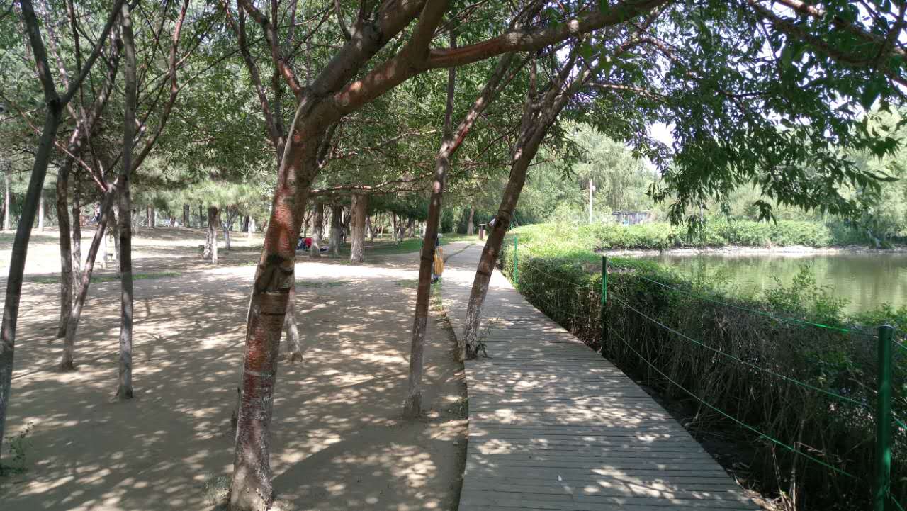 沈阳长白岛森林公园有海吗,游沈阳的长白岛森林公园400字作文