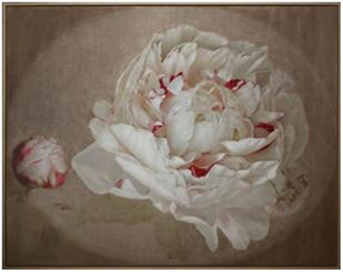 第二届“风致”邀请展——格物即将开幕