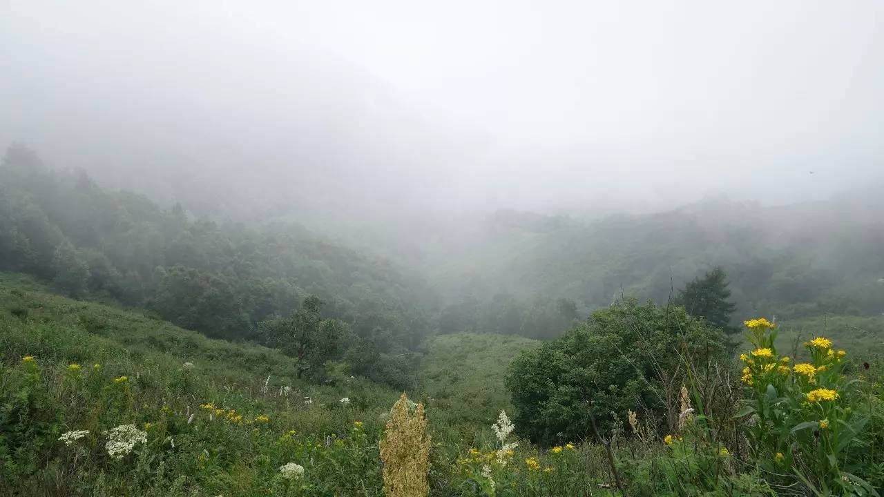 驼梁在石家庄什么地方,石家庄驼梁在石家庄的什么位置