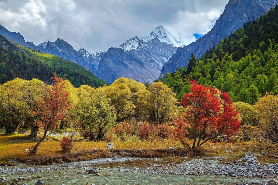 花都港龙,稻城三神山风景在哪里