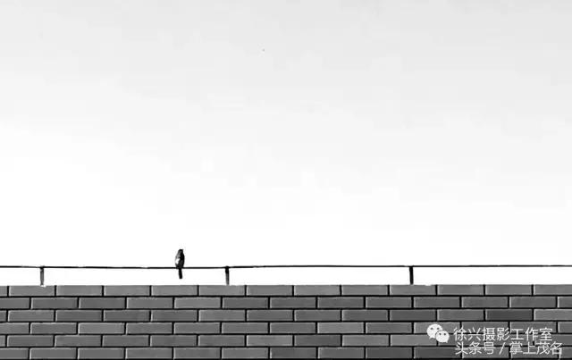 手机摄影田园生活图片,手机摄影主题