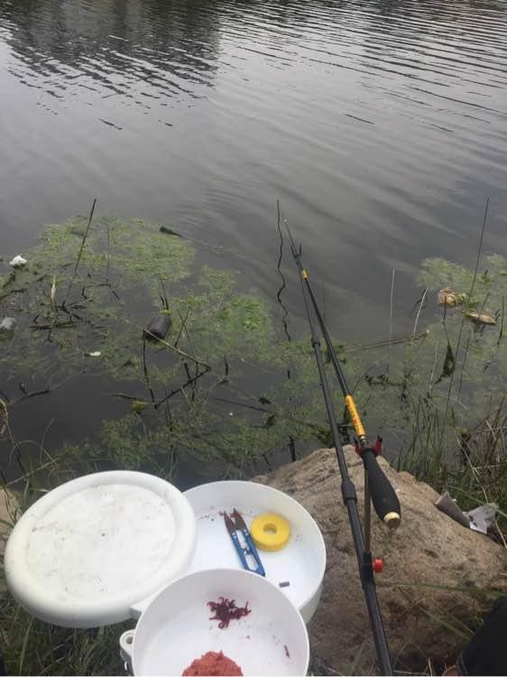 上班绑鱼钩，午休去钓鱼，因为工作耽搁了钓鱼，太不值！