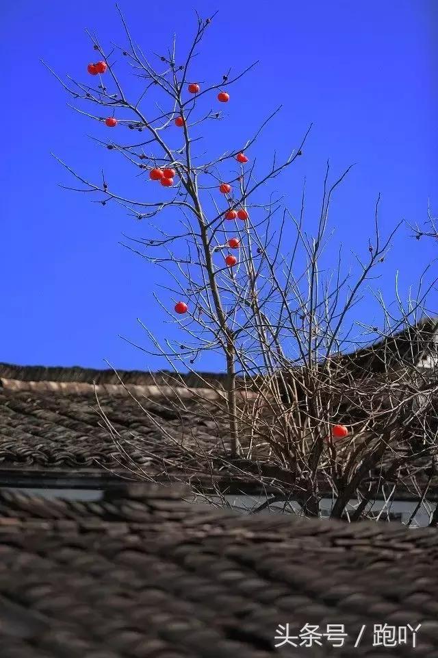 神秘北纬30度在皖南,皖南川藏线北纬30度