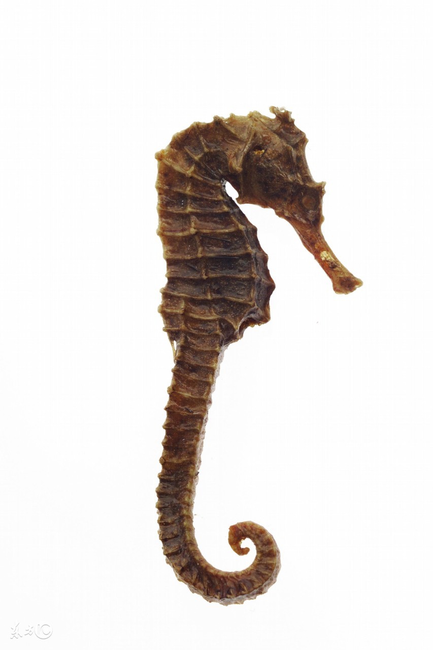 每日小科普有趣的冷知识分享,超有趣的冷知识你绝对不知道