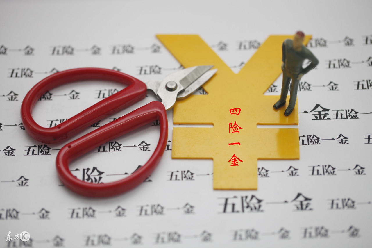 怎样查三险一金缴纳情况,现在还可以交三险一金吗