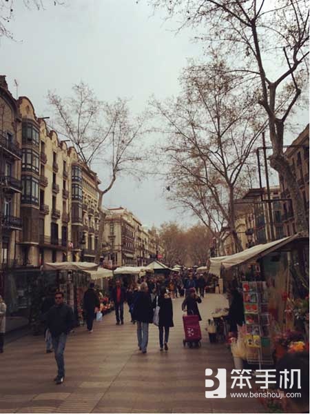 弹弹堂最新活动,弹弹堂s有哪些渠道服