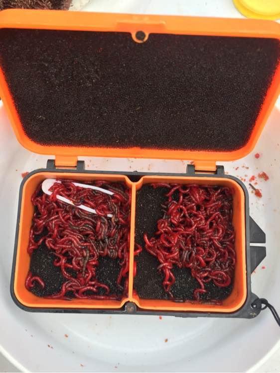 上班绑鱼钩，午休去钓鱼，因为工作耽搁了钓鱼，太不值！