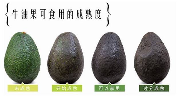 适合宝宝吃的有哪些食物,最适合孩子吃的九种食物