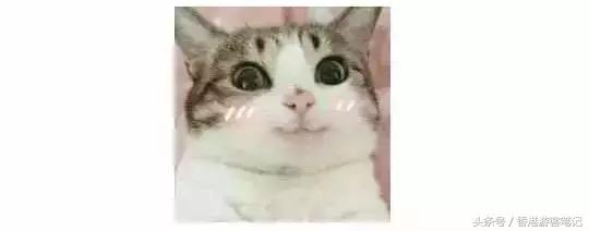 50块钱就能买到的口红,50块的口红和100的区别