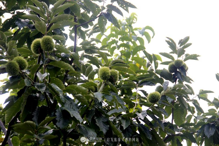 水秀山青下一句,农庄山清水秀的好地方