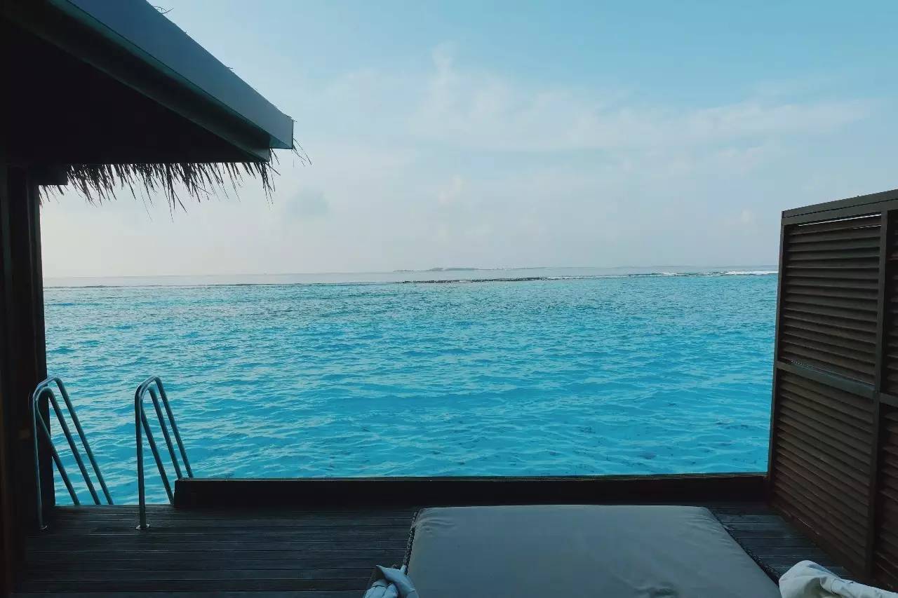 玩物不丧志视频,玩物不丧志珠宝