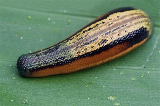 7条冷门小知识,9个让你涨知识的冷门知识