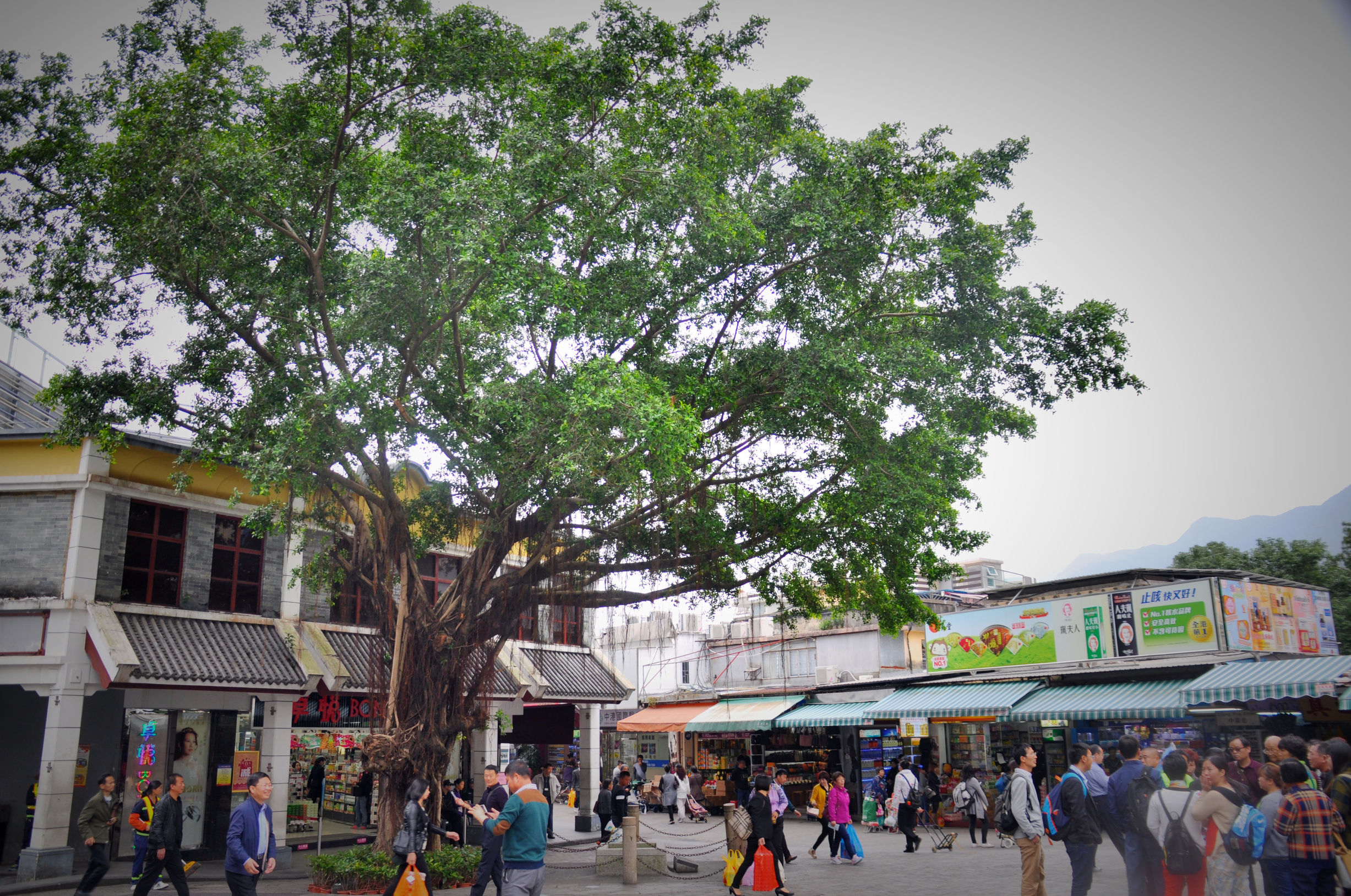 香港代购去哪买便宜,香港代购省钱攻略