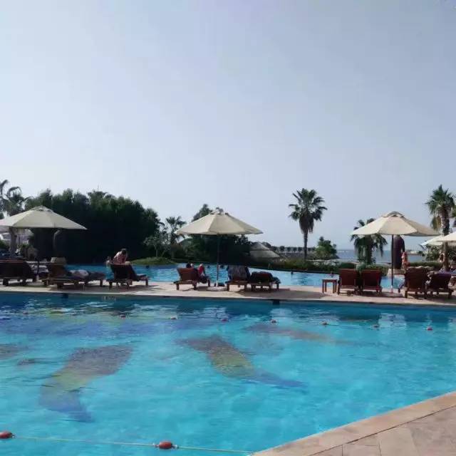 学姐学长的朋友圈,飞过一整个世界