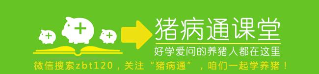 猪场漏粪地板如何设计,猪场漏粪地板图片大全