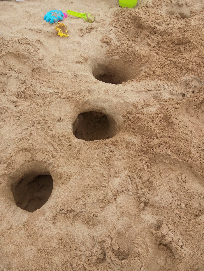 日照海捕海鲜有哪些,日照赶海后抓到的海鲜去哪儿吃