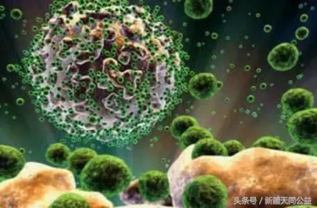 艾滋病的口腔表现症状,艾滋病口腔里有hiv吗