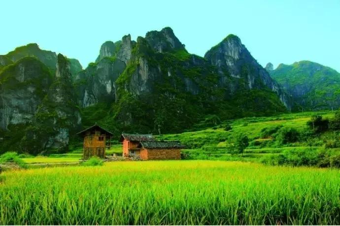 贵州方言笑死人的句子,贵州方言笑死人了