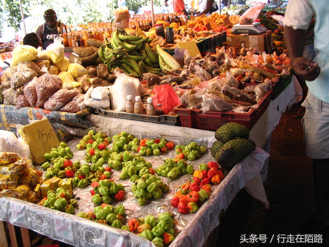 南美洲唯一不想要回主权的国家,全民公投却被全民拒绝