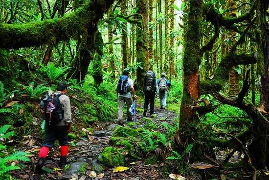 靠近喜马拉雅山脉的印度城市,印度喜马拉雅山下的小镇