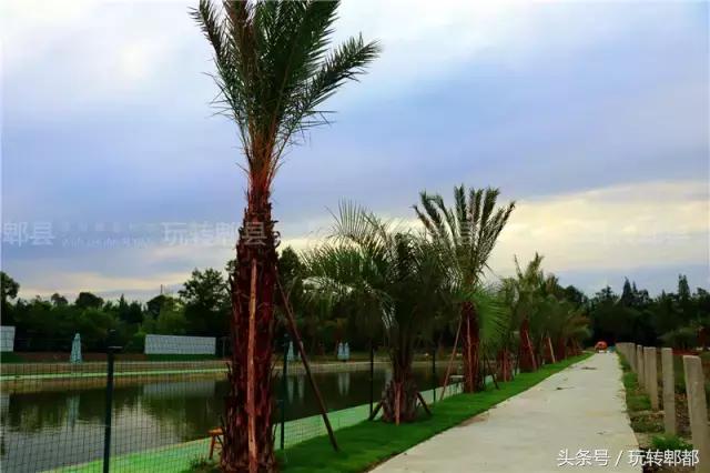 吃遍重庆50家鱼摆摆,吃遍成都50家鱼摆摆