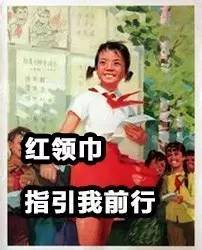 不要被假象所骗作文800字,不要被外表所欺骗作文