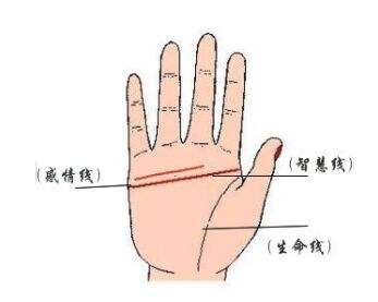 如何分清断掌,如何辨别啥是断掌