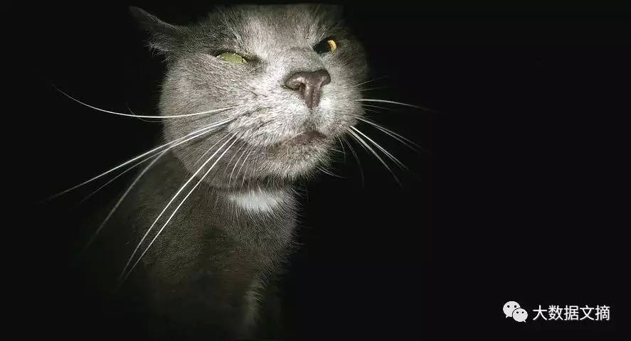 想入门深度学习不会搭建环境？教你在AmazonEC2上安装Keras