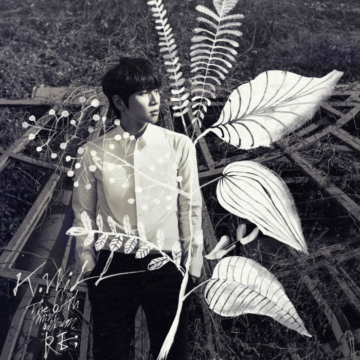 单看这一点，真怀疑这些爱豆之间的关系不一般！