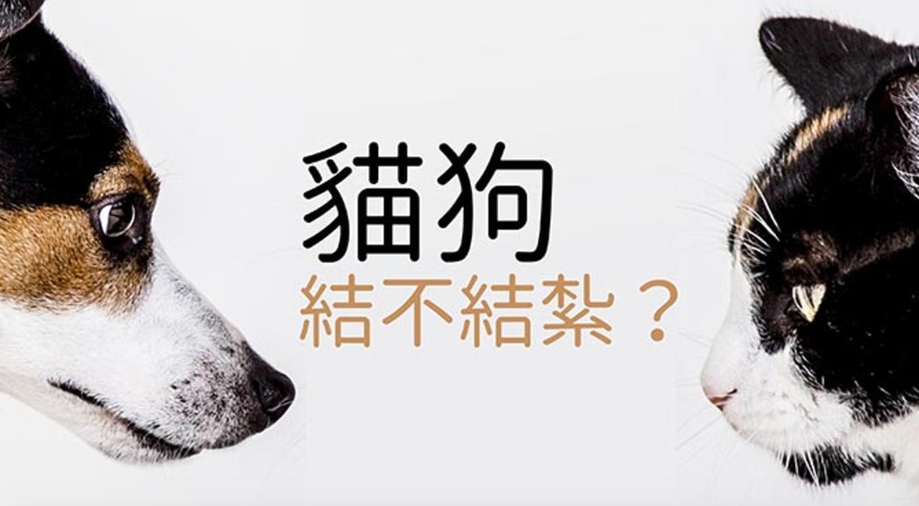 恒久不变的选择：猫狗结不结扎？