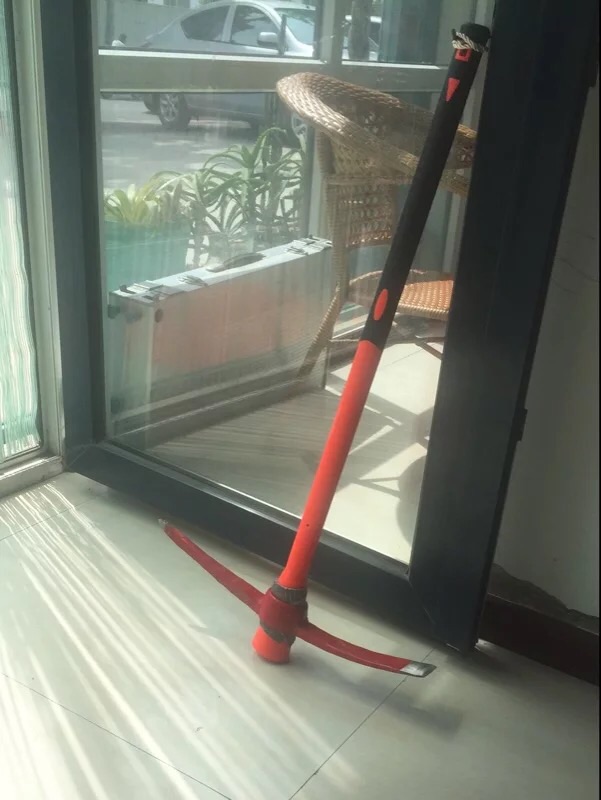 上山挖盆景树桩注意事项,山上挖什么树桩做盆景好呢